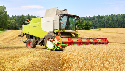Fototapeta premium Combine to the mowing removes wheat on the field.