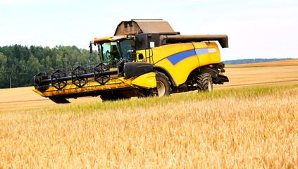 Combine to the mowing removes wheat on the field.