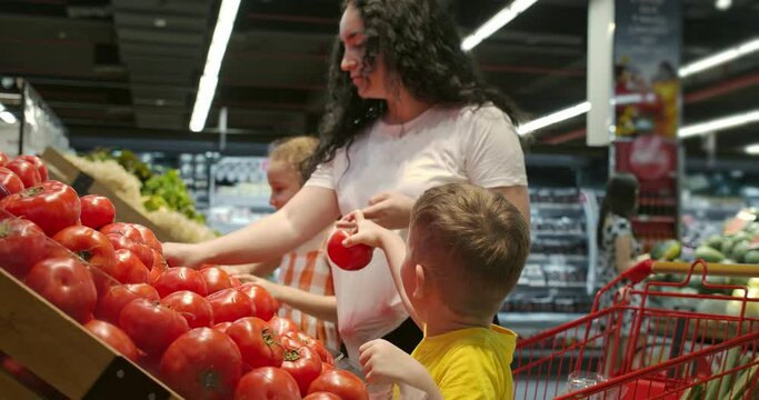 Cute woman with little happy son and daughter are choosing fresh vegetables together at the grocery store. A mother with her children takes ripe tomatoes from the shelf and puts them in a basket.