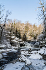 river in winter forest