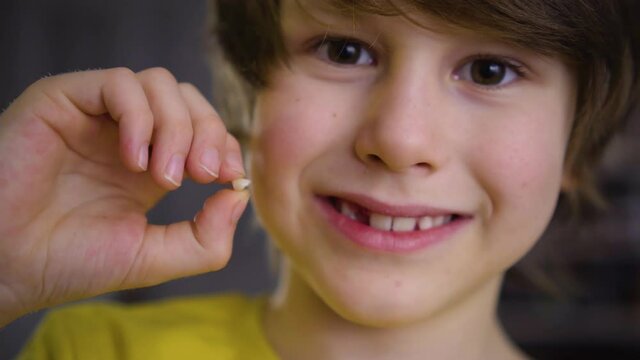 The boy's milk tooth fell out. A satisfied child holds a tooth in his hand. A hole in the gum is visible