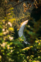 The Winding Road of the Highway in the Green Spearfish canyon in the Black Hills of South Dakota