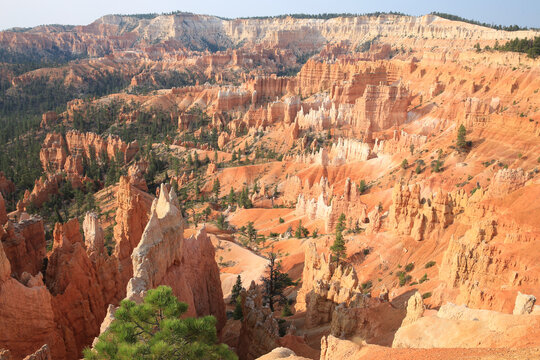 Bryce Canyon National Park in Utah, USA