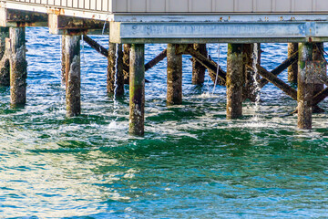Pilings  And Water Streams 2