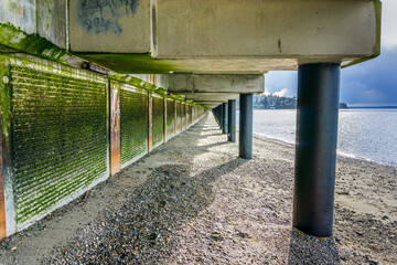 Under Redondo Boardwalk 3