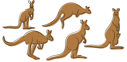 Känguru Kangaroo Kontur Zeichnungen Vektor Grafik - obrazy, fototapety, plakaty
