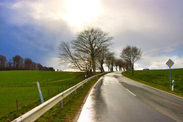 Fototapeta premium Nasse Straße und Landschaft ;Mittelgebirge bei Paderborn 