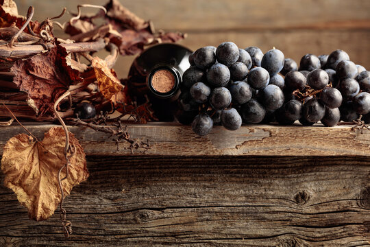 Bottle of red wine with grapes and dried vine on an old wooden table.
