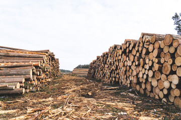 deforestation for roads, wood harvesting, wood as a renewable biological resource, deforestation area for highways