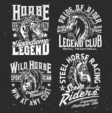 T-shirt prints with horse stallion heads, equestrian sport, racing club. Vector mascot. Mare monochrome horse and typography on black grunge background. Riding sport t-shirt prints