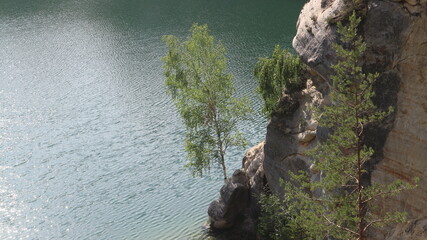 A tree growing on the rock at the fringe of lake at Adrspach, Czech republic