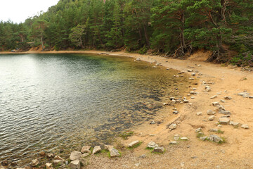 Strolling around the Green Loch in the Cairngorms
