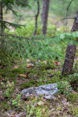 A plastic bottle lies in the middle of the forest. Contamination of the environment with human waste.