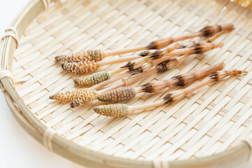 かごに入ったつくし