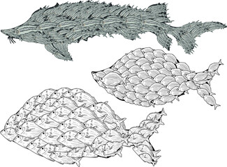 three complex fishes isolated on white