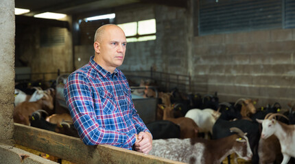 Fototapeta premium Confident man owner of dairy farm. High quality photo