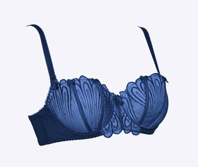 Sexy lace bra push up blue color on a white background.