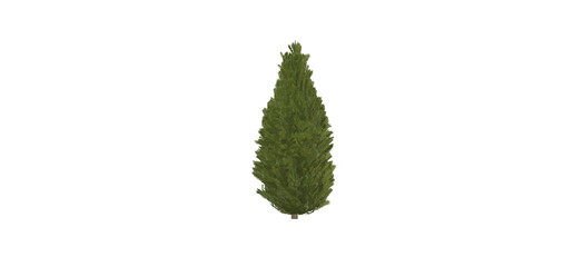 3d illustration of green topiary isolated on white background-Cypress tree