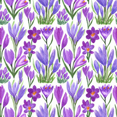 Waterclor colorful  seamless  pattern of spring flowers.  Hand Illustration of primrose for creating fabrics, textile, decoupage, wallpapers, print, gift wrapping paper, invitations, textile.
