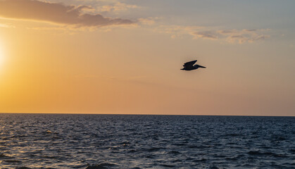 Fototapeta na wymiar A beautiful sunset in the Gulf of Mexico