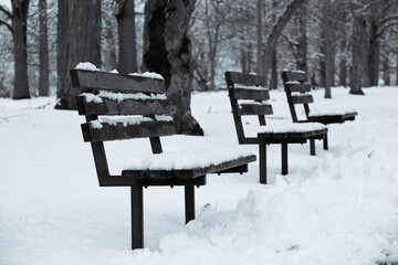 snow covered benches in park 