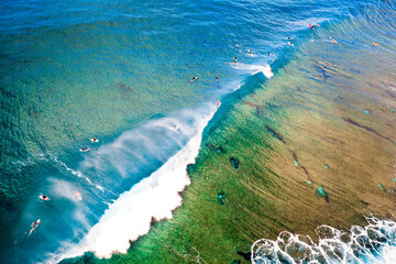 reef surfing
