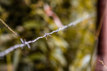 barbed wire against the sky