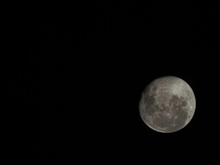Night illuminated by the full moon