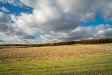 Fototapeta na wymiar Field and trees under cloudy sky at sunlight. Autumn