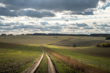 Field  and country road under cloudy sky at sunlight. Autumn