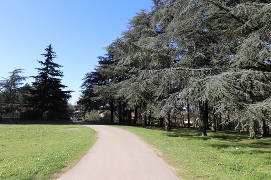 Parc de Parilly, ville de Bron , d&eacute;partement du Rh&ocirc;ne, France