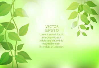 Nature green background with green spring leaves on sunshine and bokeh. Vector. illustration.
