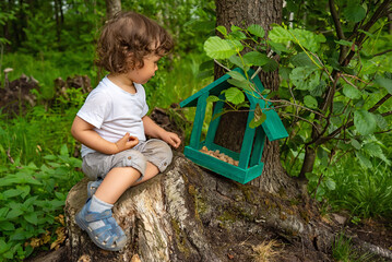Little boy pouring food for birds and animals in the park outdoors