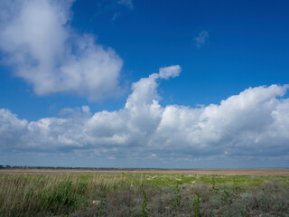 Fototapeta na wymiar A beautiful view of a wild, untouched prairie with a blue sky and fluffy clouds. Rural landscape.
