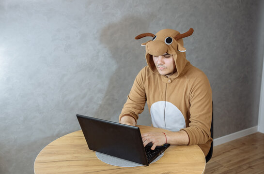 Office Worker In Cosplay Costume Of A Cow. Guy In The Funny Animal Pyjamas Sleepwear Near The Laptop. Man Is Working From Home. Search Job, Unemployment  Concept, Economy Crisis. Remote Work.