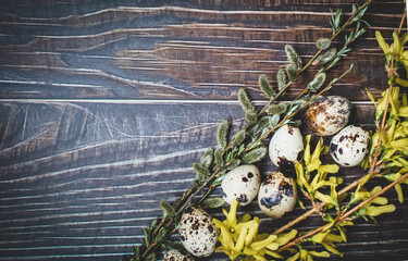 Kolorowe jajka na Wielkanoc © mirame111