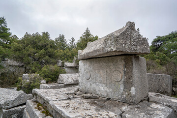 Reliefs of psidian shield and lion on the sarcophagus (rock tombs) at Termessos ancient city, Antalya