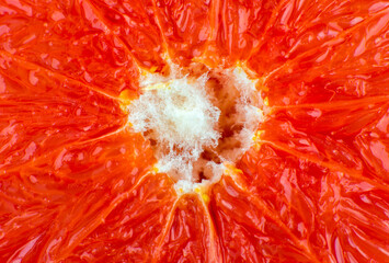 Grapefruit texture inside on the white background. Citrus close up photo. Healthy lifestyle photo. Beautiful wallpaper. Vegetarian and vegan concept. Vitamins from nature.