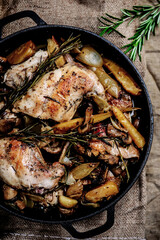 Rabbit stew with mushrooms.style rustic