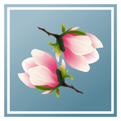 Rozkwitająca magnolia. Ręcznie rysowane kwiaty w kolorze bladego różu z gałązką na jasnym niebieskim tle, w ramce.