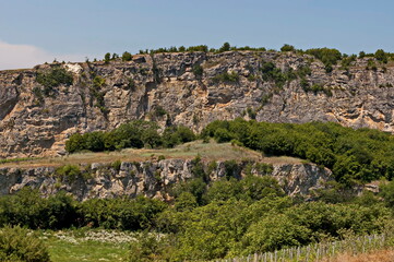 Panorama from the area of ​​Rusenski Lom Nature Park with high vertical limestone cliffs, overgrown with deciduous trees, Nisovo, Bulgaria 