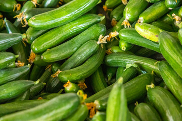 Fresh vegetable for sales in turkish market in Antalya, Turkey