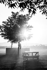 vi&ntilde;edo a blanco y negro 