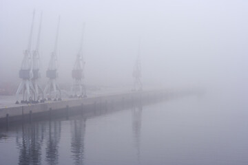 Cranes in the fog
