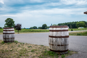 Wine Barrels