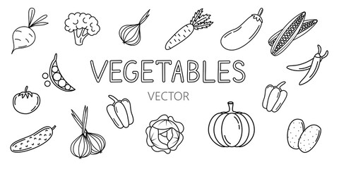Set of vector line art vegetable icons. Collection of cartoon elements for coloring. Fresh food pictogram for design.