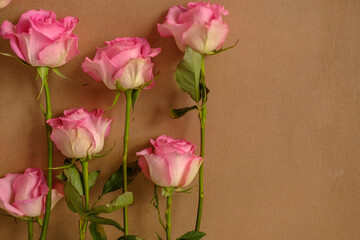 pink roses on a beige background