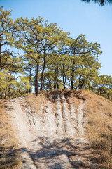 bosque de la primavera erosi&oacute;n