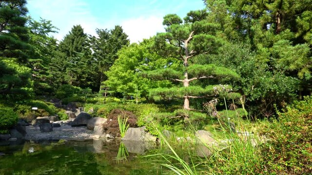 Japanese Garden with Trees and Water Sound in Summer