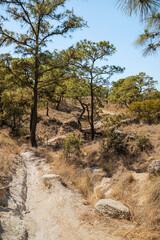 pista de bicis en la monta&ntilde;a